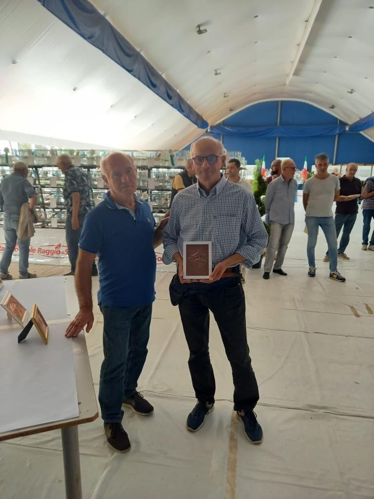 Galleria Associazione Ornitologica Cremasca — immagine 156