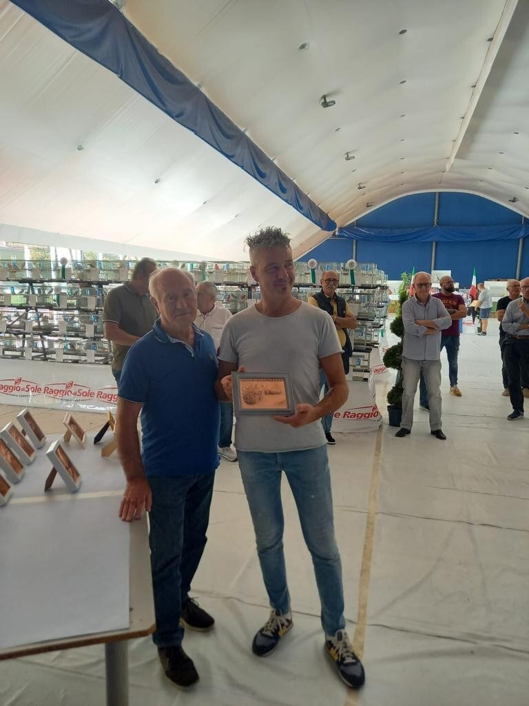 Galleria Associazione Ornitologica Cremasca — immagine 162
