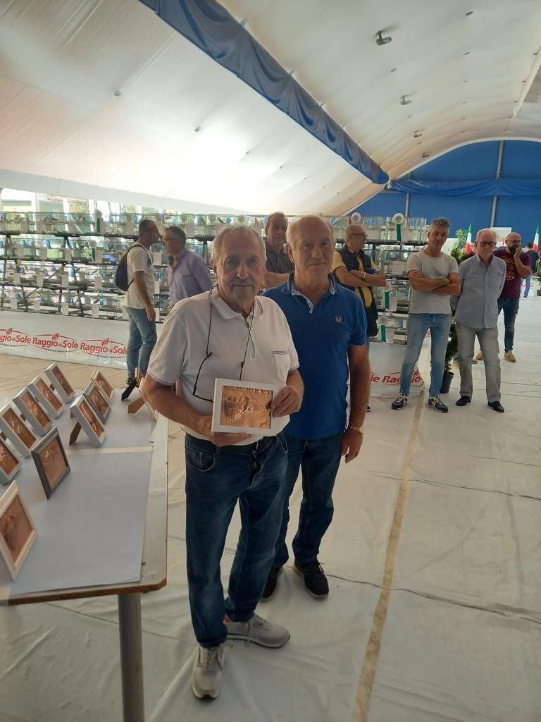 Galleria Associazione Ornitologica Cremasca — immagine 166