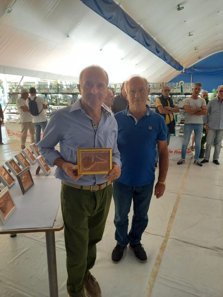 Galleria Associazione Ornitologica Cremasca — immagine 167