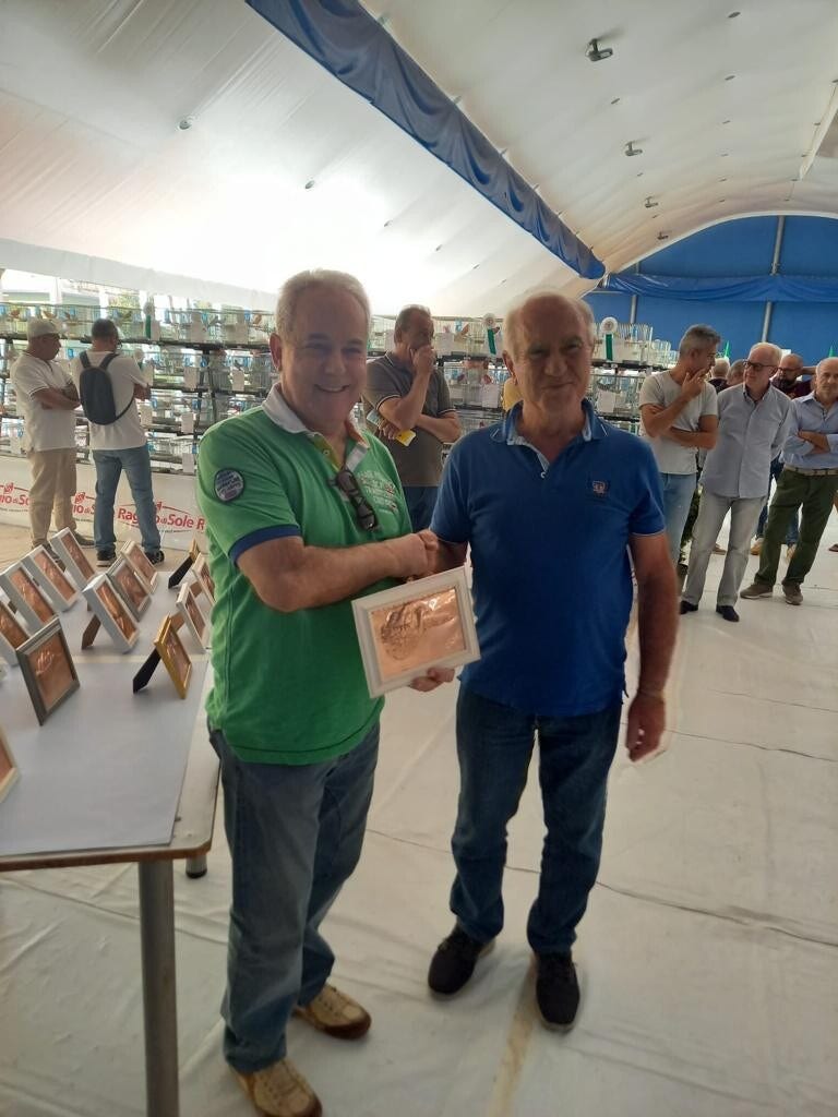 Galleria Associazione Ornitologica Cremasca — immagine 168