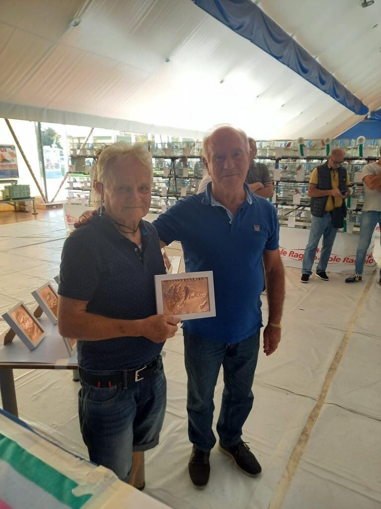 Galleria Associazione Ornitologica Cremasca — immagine 169