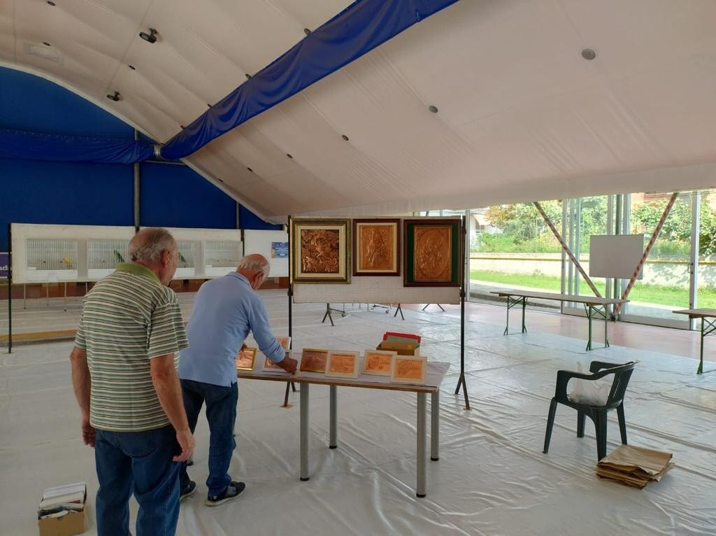 Galleria Associazione Ornitologica Cremasca — immagine 175