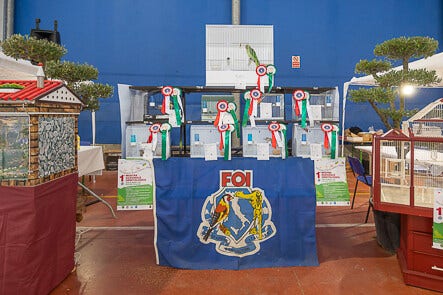 Galleria Associazione Ornitologica Cremasca — immagine 211