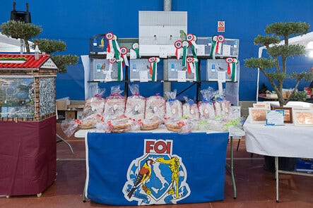 Galleria Associazione Ornitologica Cremasca — immagine 217