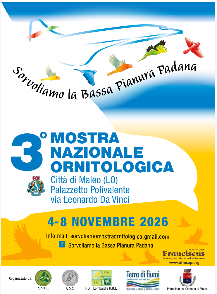 Locandina della 3ª Mostra Ornitologica Nazionale “Sorvoliamo la Bassa Padana e l’Emilia” — Città di Maleo (LO), Palazzetto Polivalente, 4–8 novembre 2026