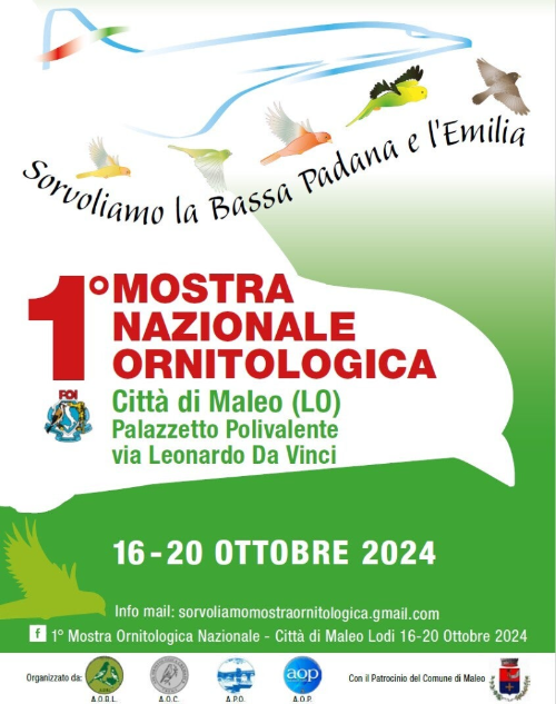 1a Mostra Ornitologica Nazionale “Sorvoliamo la Bassa Padana e l’Emilia” città di Maleo