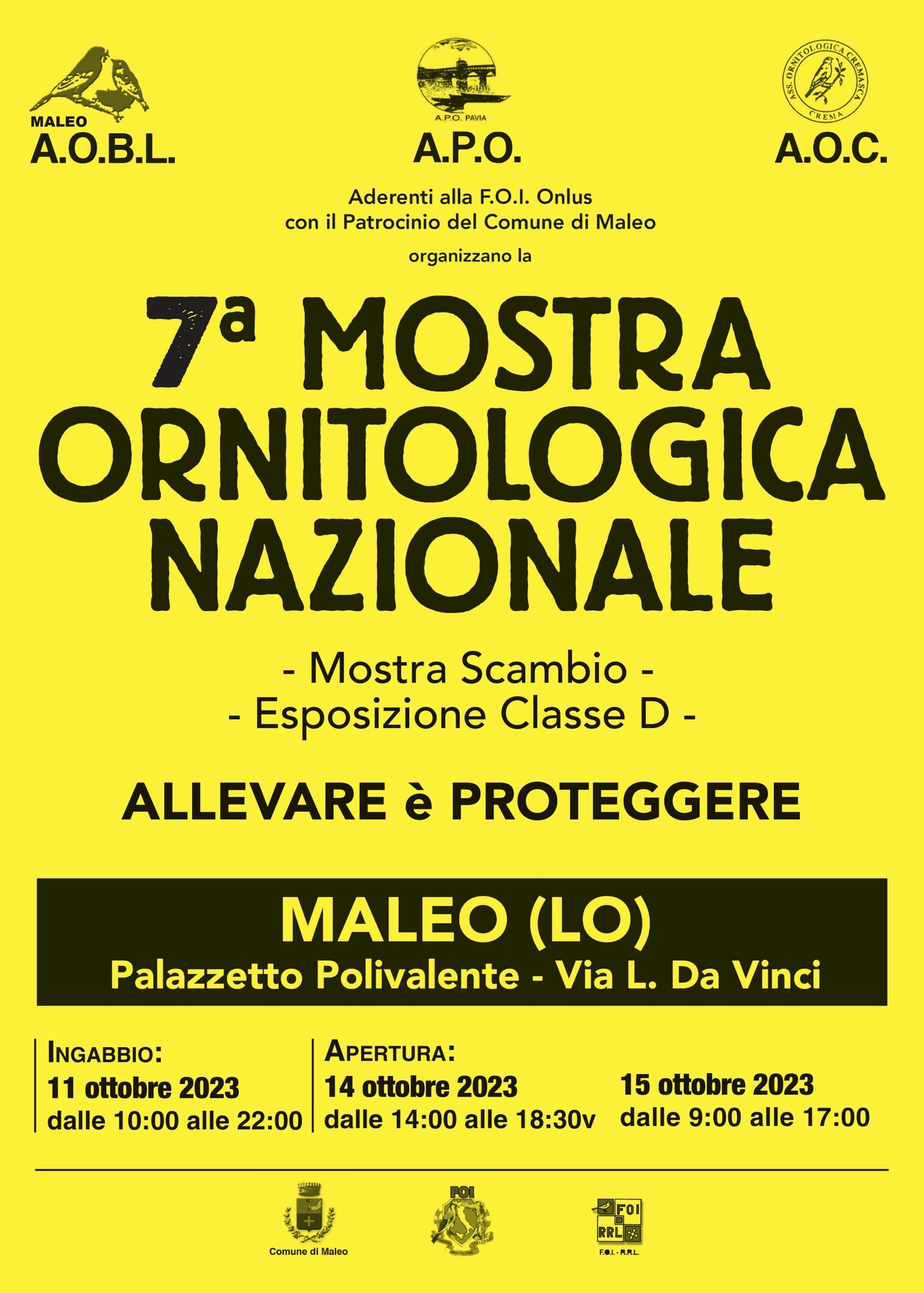 7a Mostra Ornitologica Nazionale FOI di Maleo