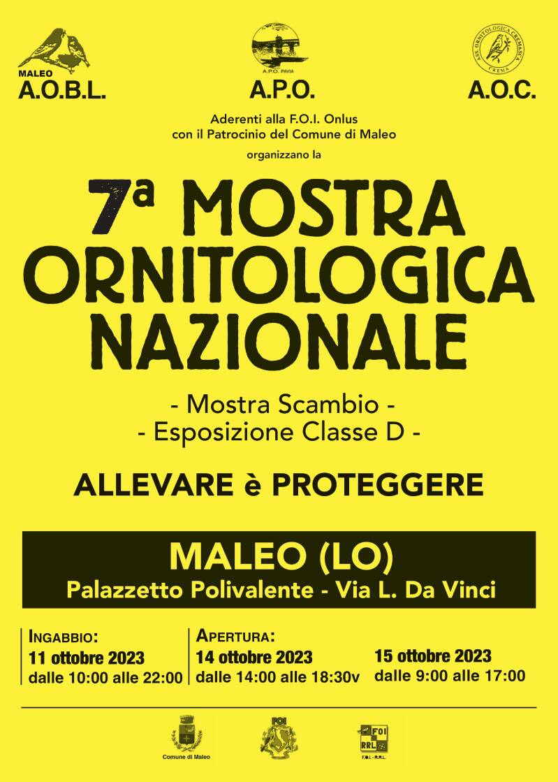 7a Mostra Ornitologica Nazionale FOI di Maleo — immagine 1